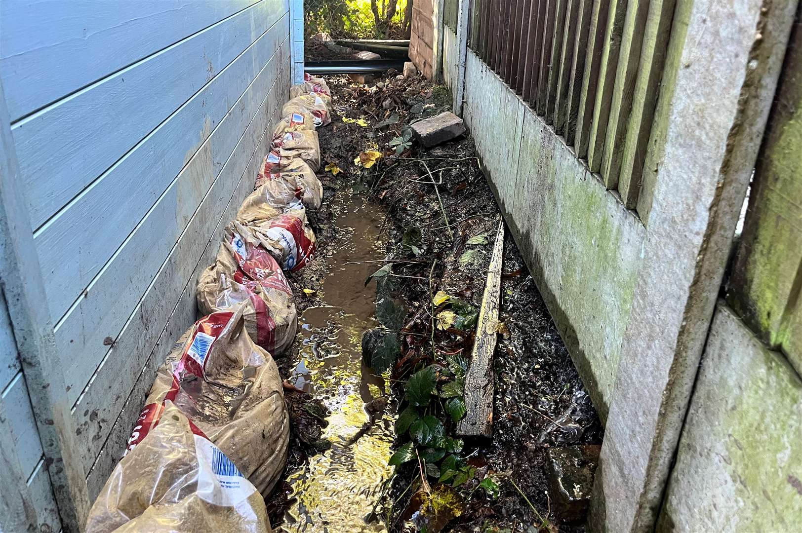 Mrs Chung and her husband Mr Roth have dug trenches and put sandbags around their garden shed
