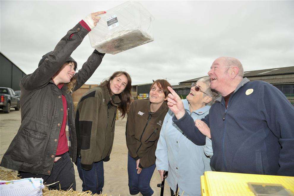 Emma Sheard, from the RSPB, shows Jamie Burgess, Jennifer Neaves, Sue Rickwood and Ernie Rickwood some slow worms