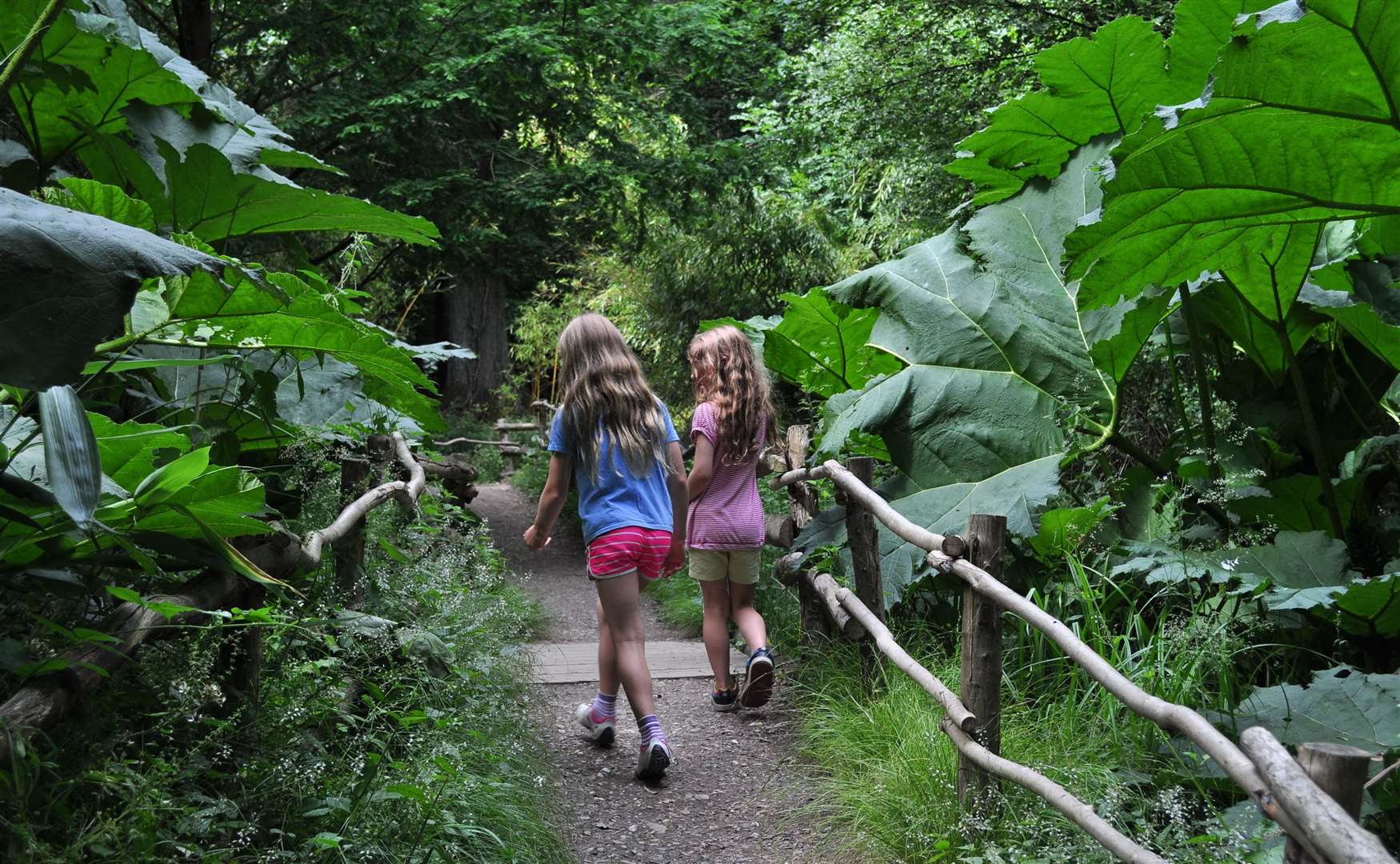 Head outdoors at Groombridge Place