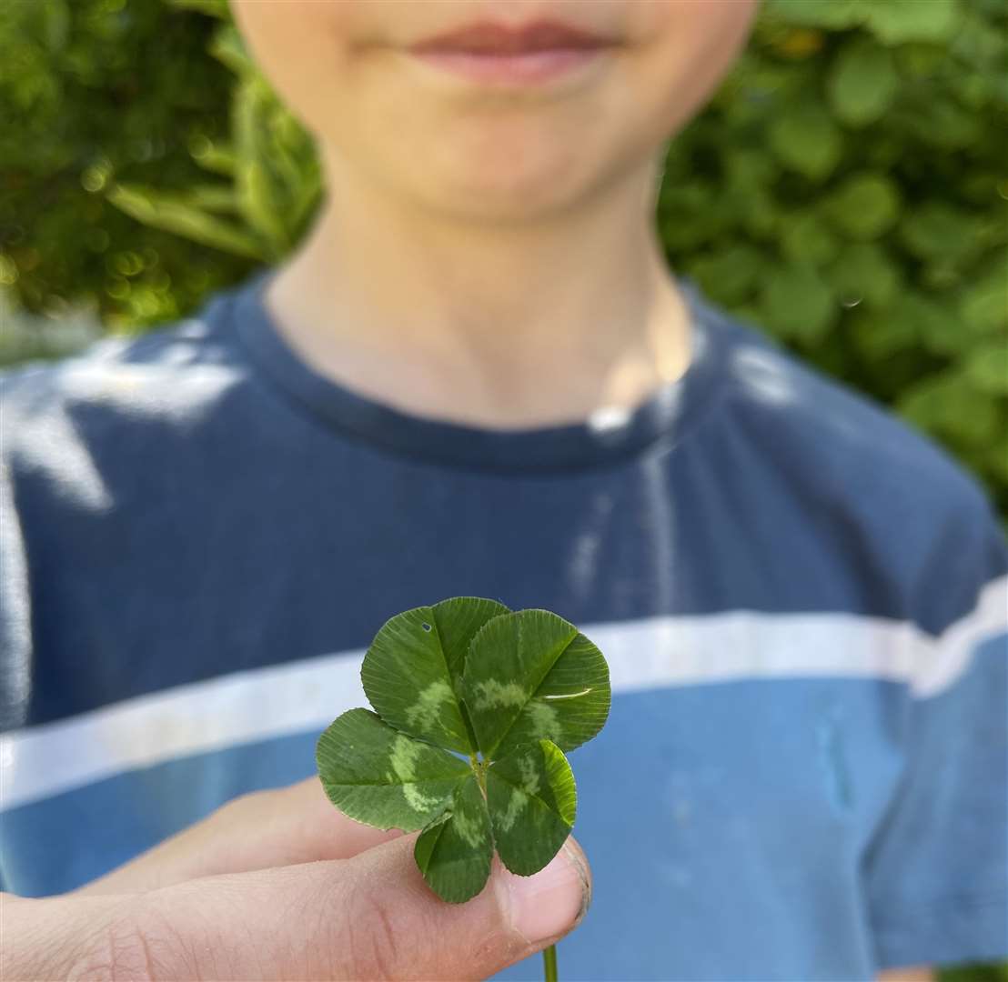 The ultra rare five-leaf clover found in Clowes Woods