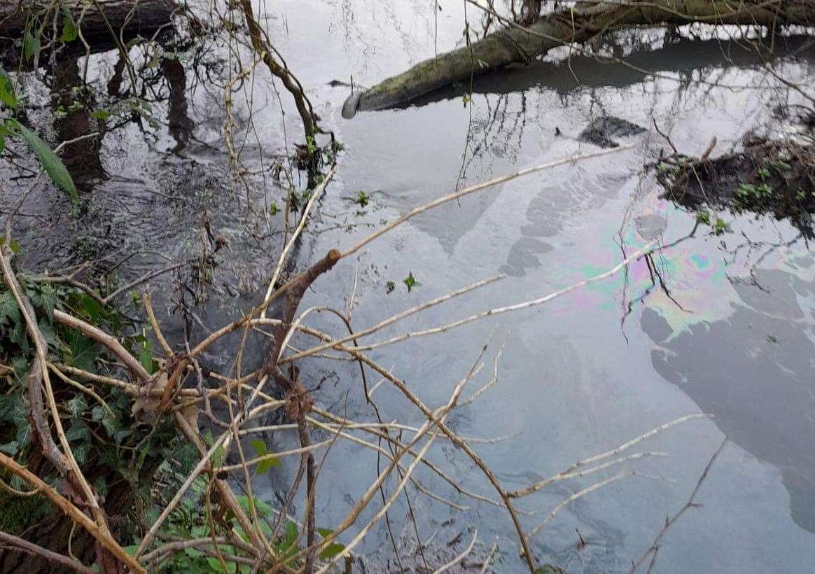 The oil spill in the Great River Stour in Chartham. Picture Julie Johnson