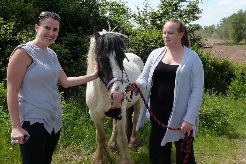 Katherine Alsop and Marie Lawrence both stopped their cars to try and catch the horse