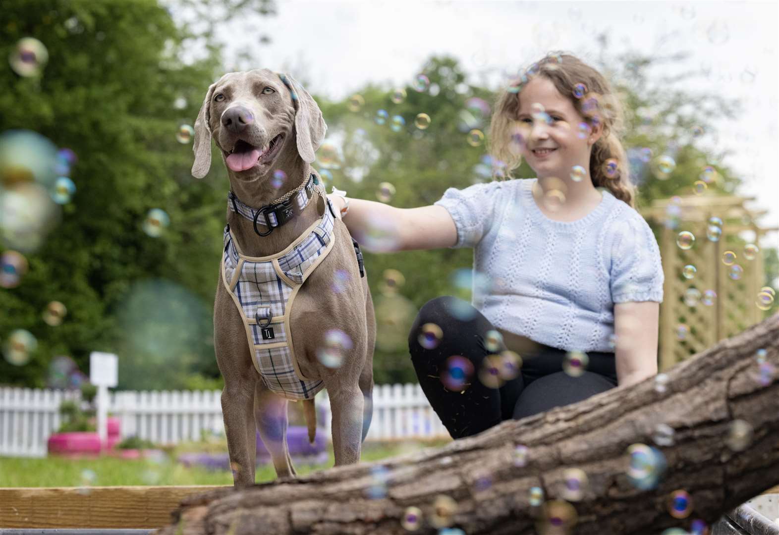 Dogs were told they could bring their humans to the event (Matt Alexander Media Assignments/PA)