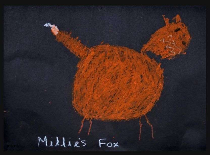 Millie's fantastic fox. Pictures Les Irvine