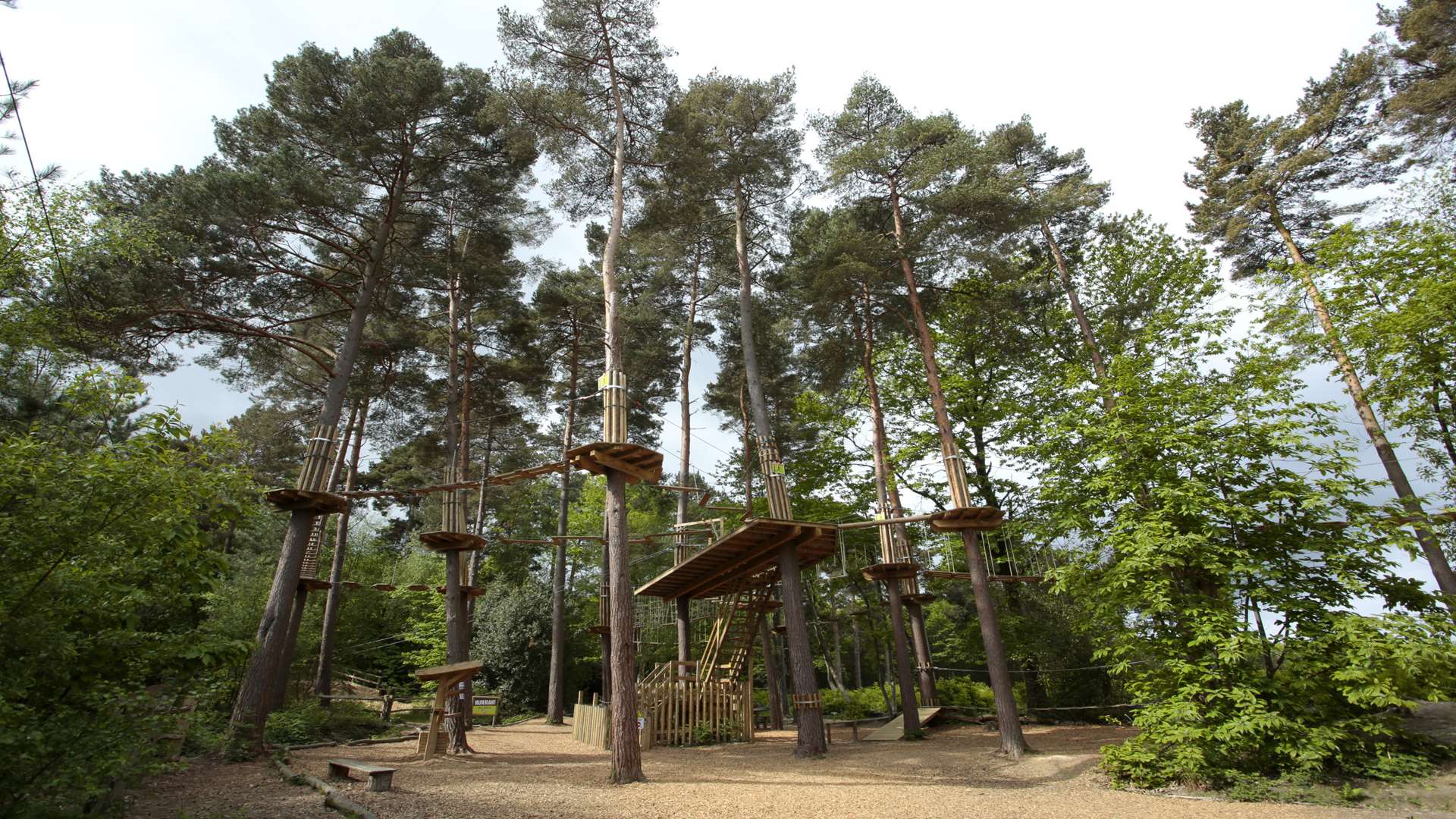 Love is in the air at Go Ape, Bedgebury