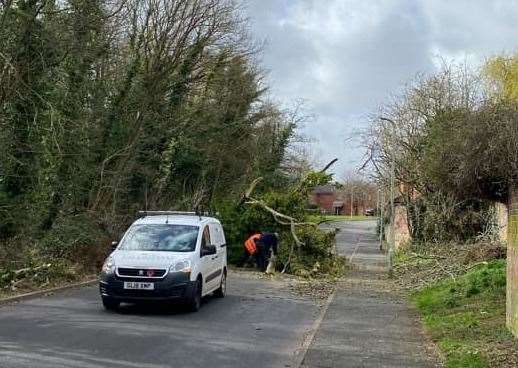 A fallen tree is causing delays for drivers in Wildish Road, Faversham. Picture: Emma Parker