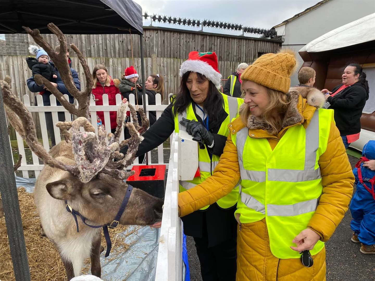 Reindeer at Rushenden Club proved a hit with visitors preparing for the Queenborough lantern parade on Sunday. Picture: Sandra Fowle