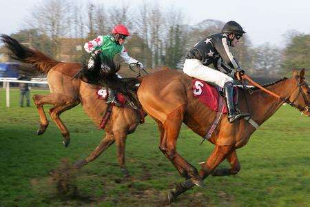 Horses at Folkestone racecourse.