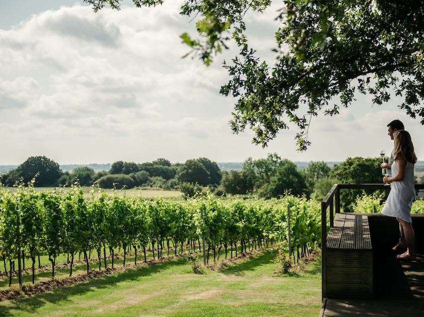 Gusbourne vineyard has expanded its global appeal in recent years