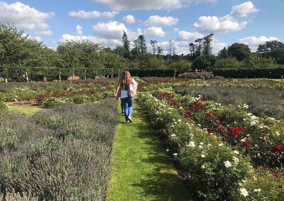 Explore the gardens while at Penshurst Place too
