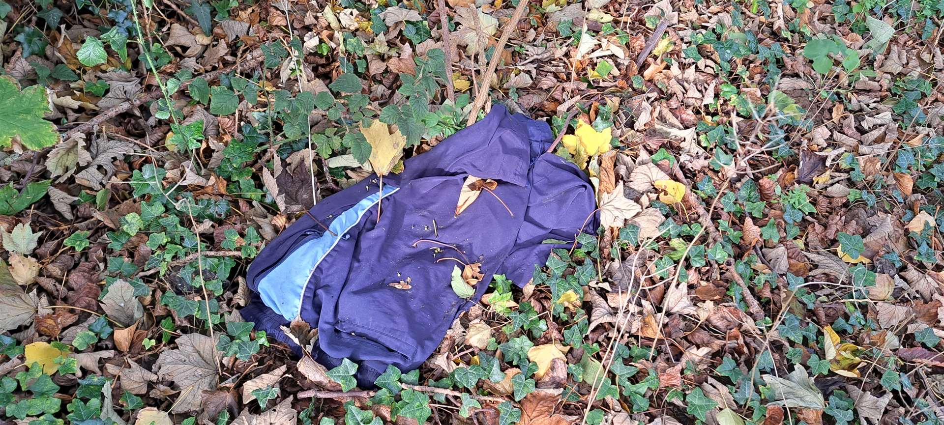 Clothing found at Borden Nature Reserve. Picture: Megan Carr