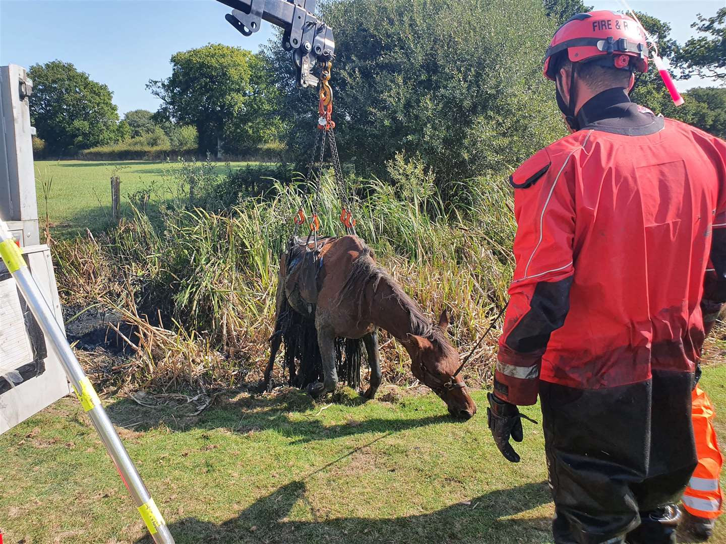 Fire services helped Kaddy out of the mud. Photo: KFRS