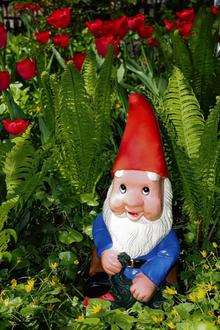 This garden gnome could do with a raincoat