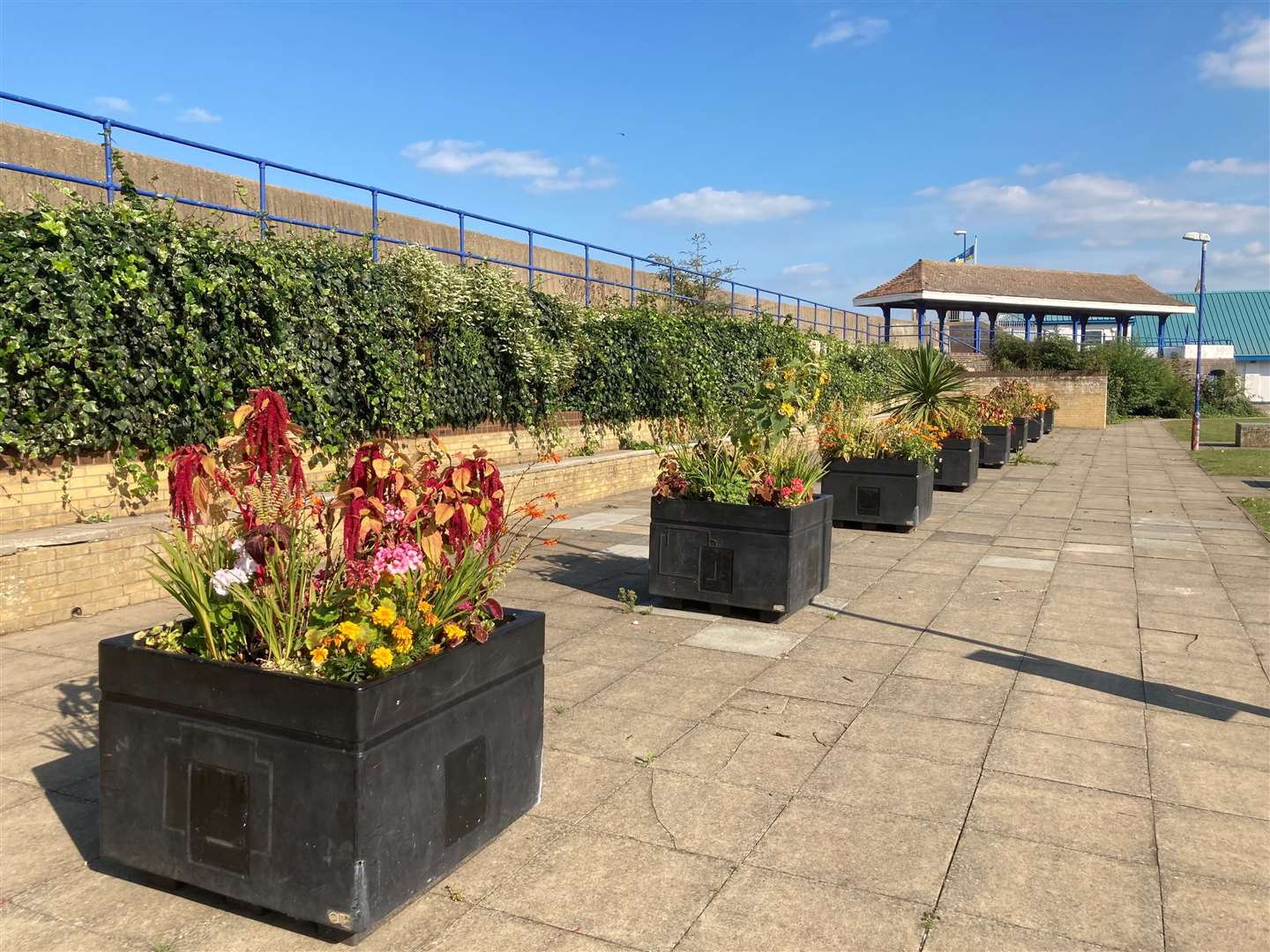 The new-look Beachfiels seafront park at Sheerness is bursting into colour with the recent planting of bee-friendly plants in the flower beds