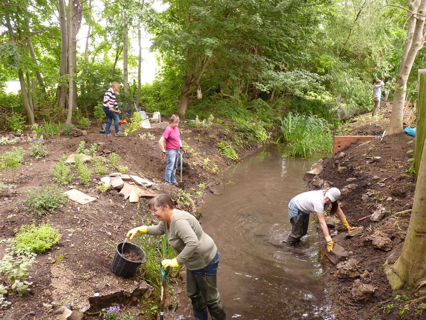Cooksditch Stream being restored by volunteers to encourage wildlife back to the area. Pic: Brian Summers