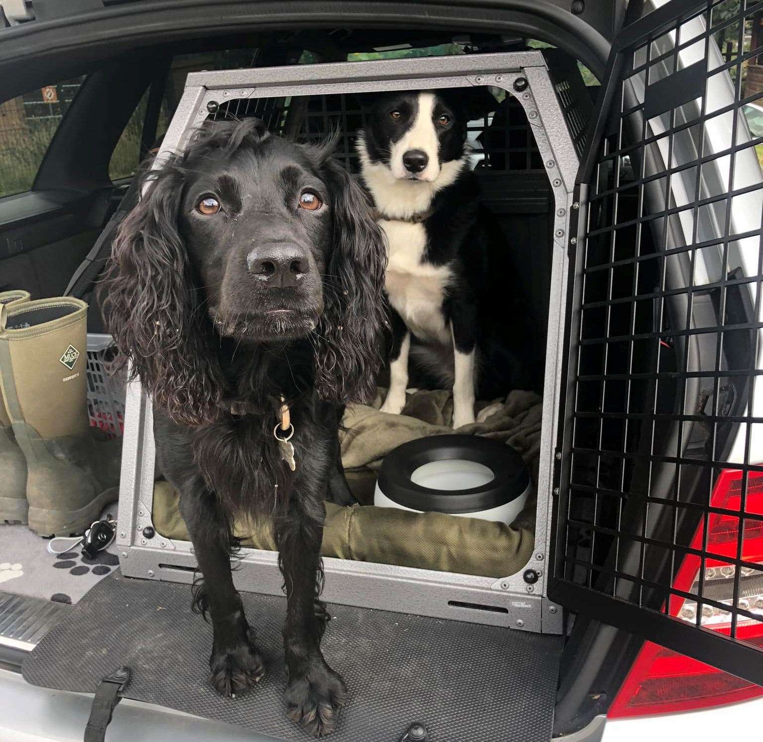 Miss Schofield says the crate in the back of her car saved her dog’s life. Picture: Hayley Schofield