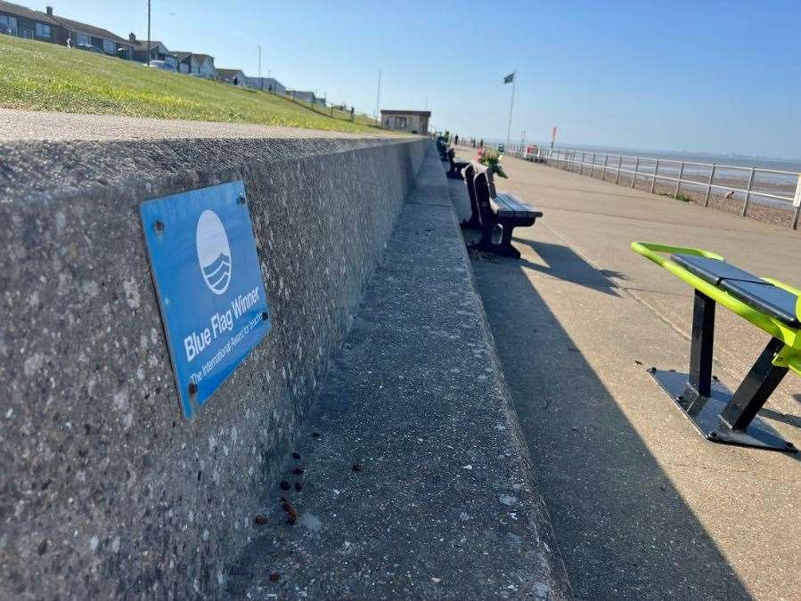 The Blue Flag plaque at Minster Beach. Picture: Megan Carr