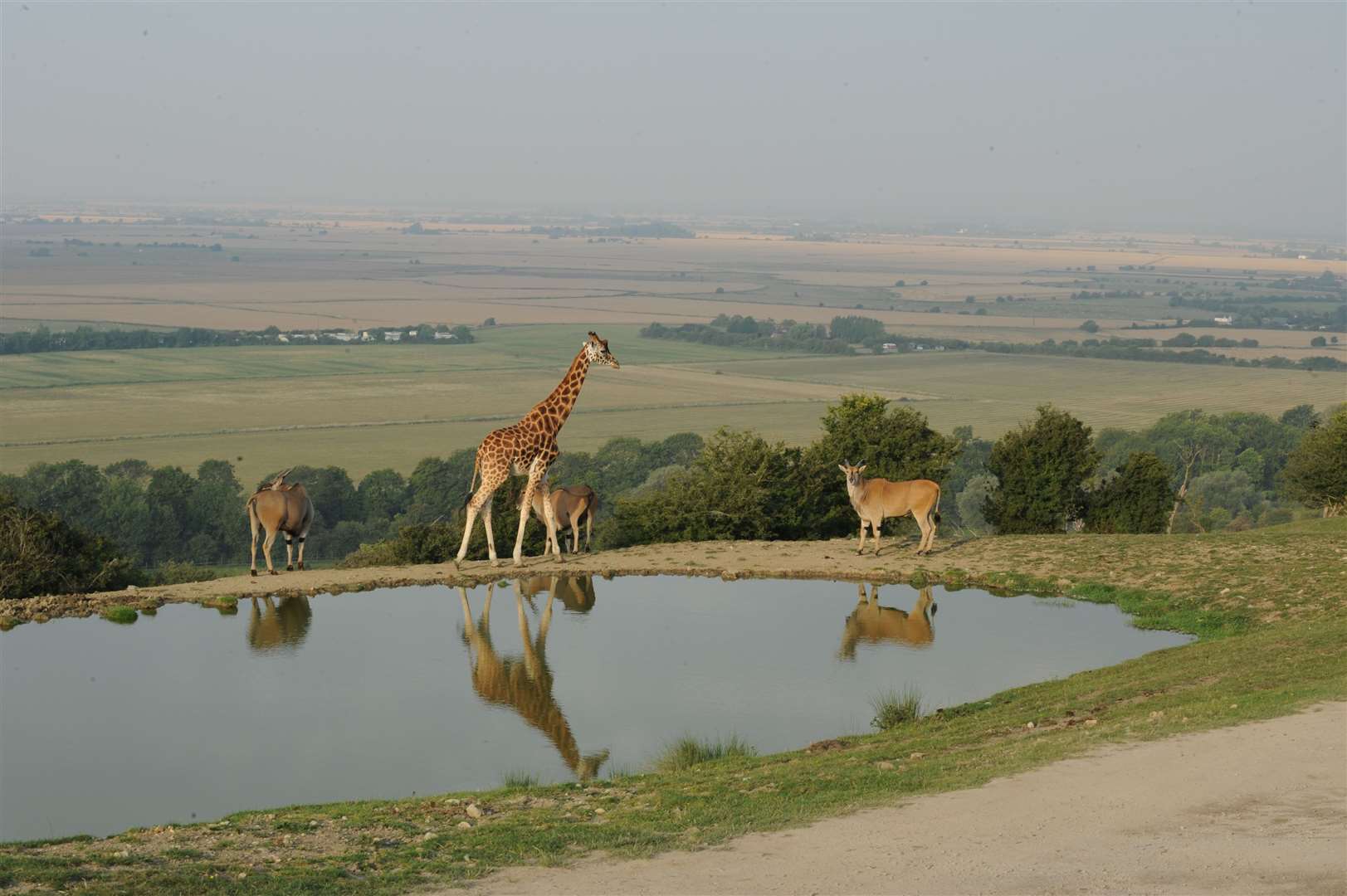 Both Port Lympne and Howletts will re-open Monday. Picture: The Aspinall Foundation