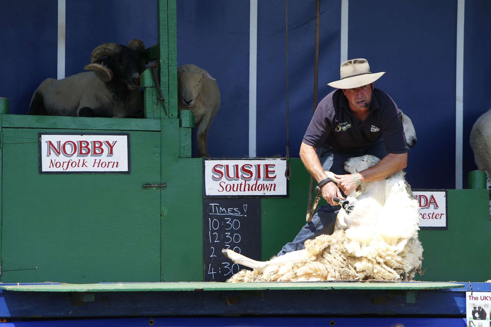 The popular Sheep Show Picture: Andy Jones