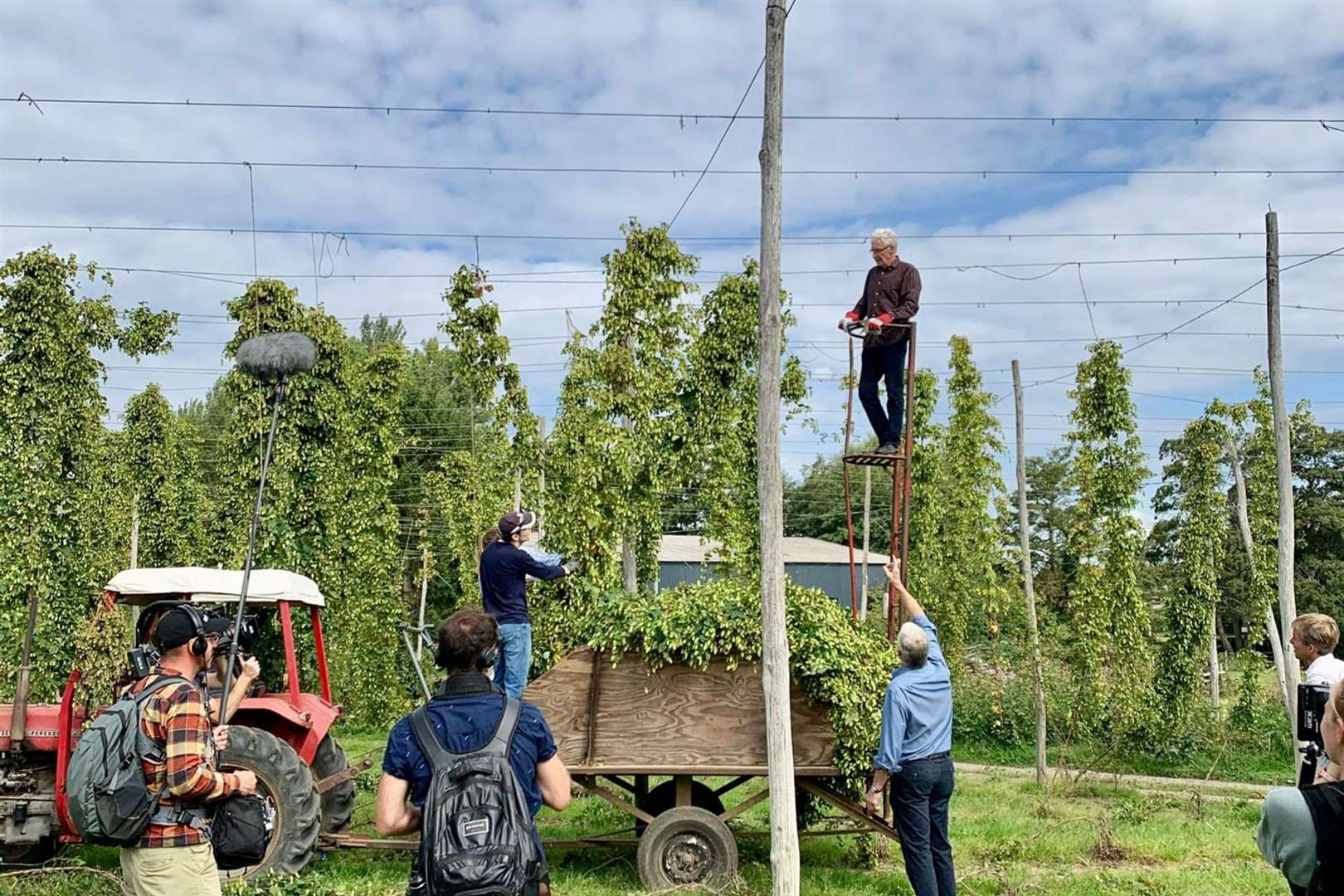 The veteren star was pulled along on a ladder to pick the hops. Photo: Castle Farm