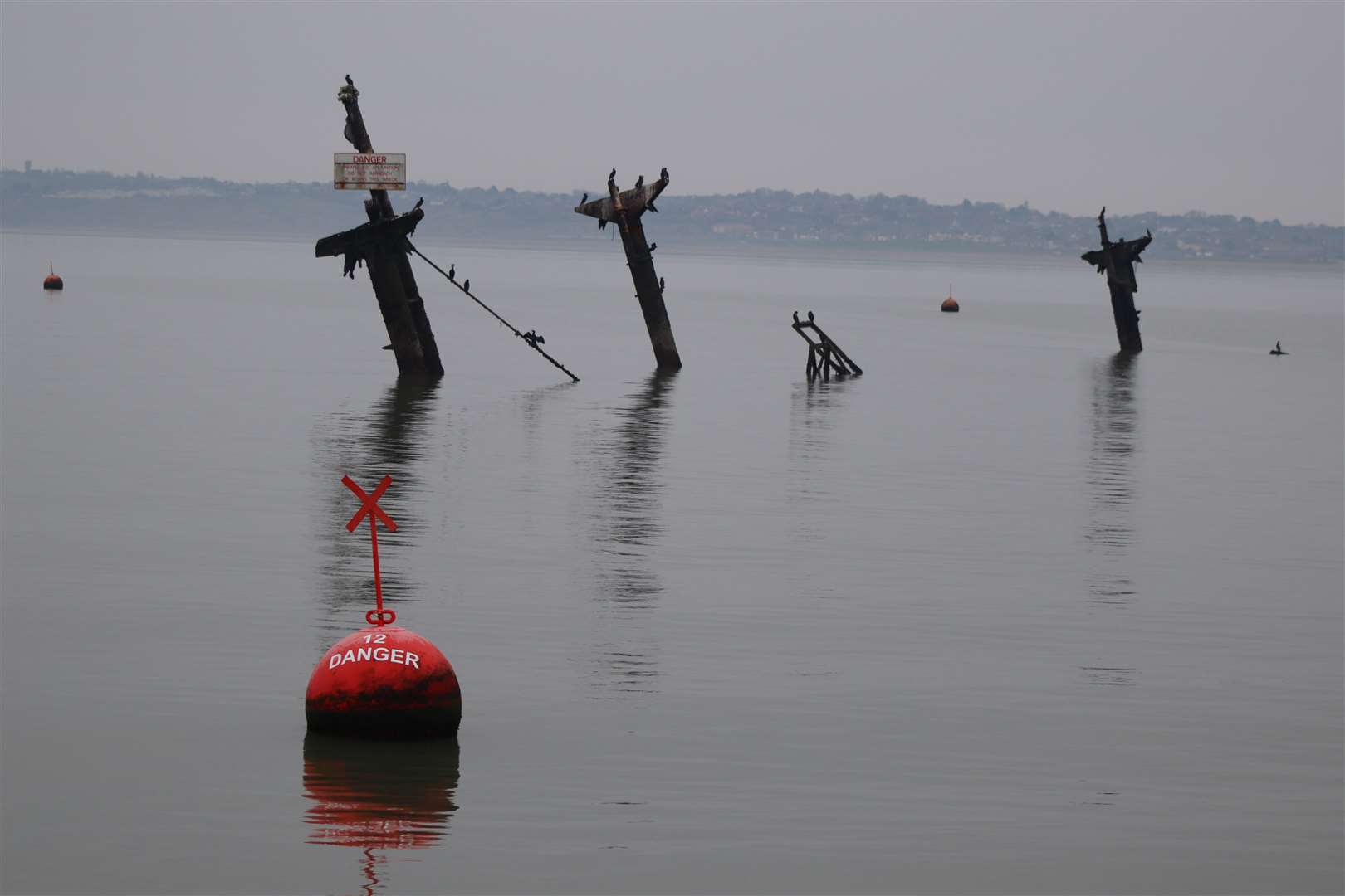 The exclusion zone is clearly marked by a ring of buoys