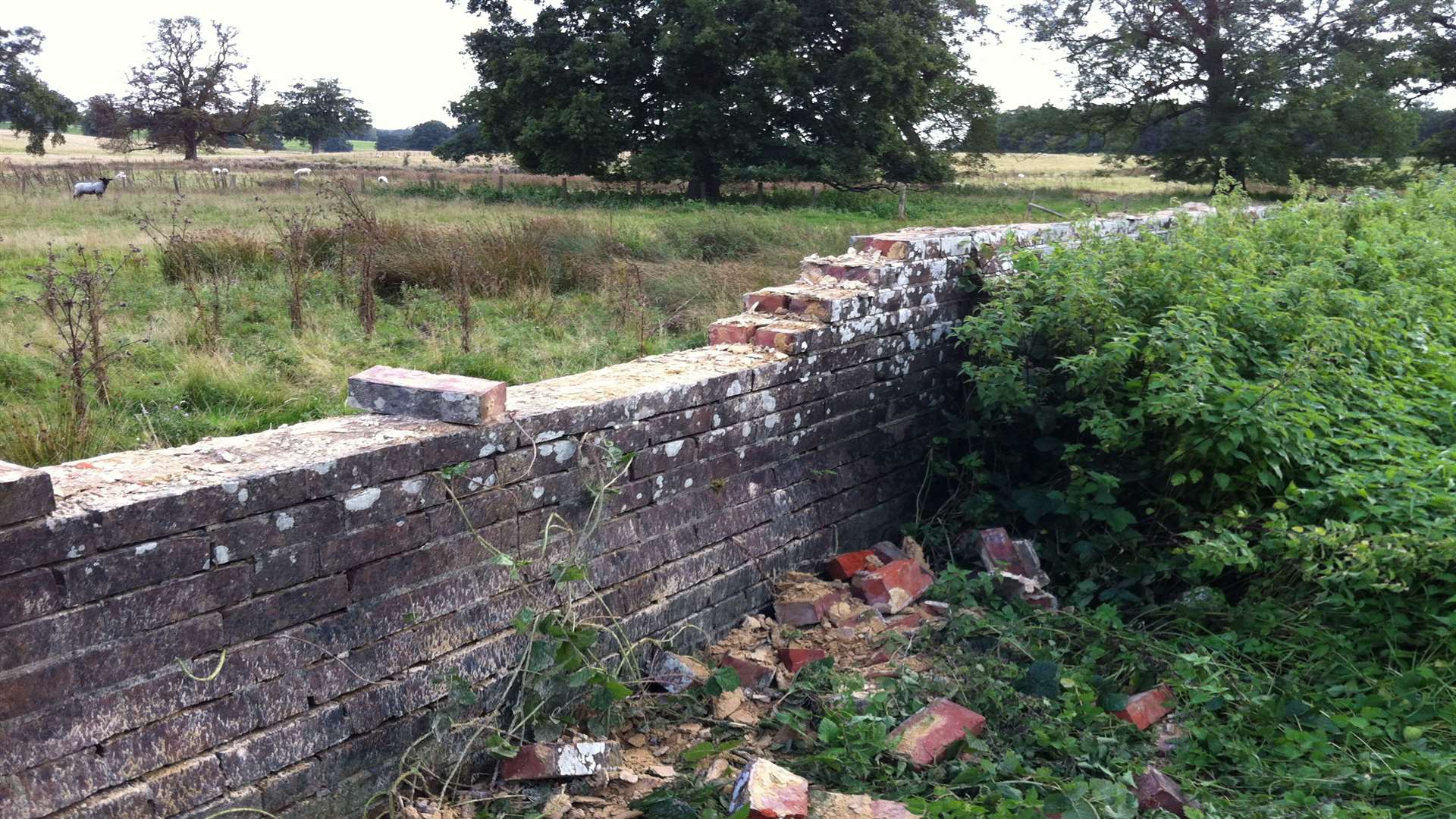 The thieves have damaged the historic wall