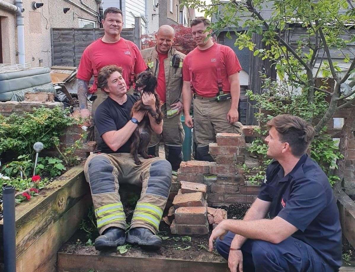Firefighters with the freed cocker spaniel