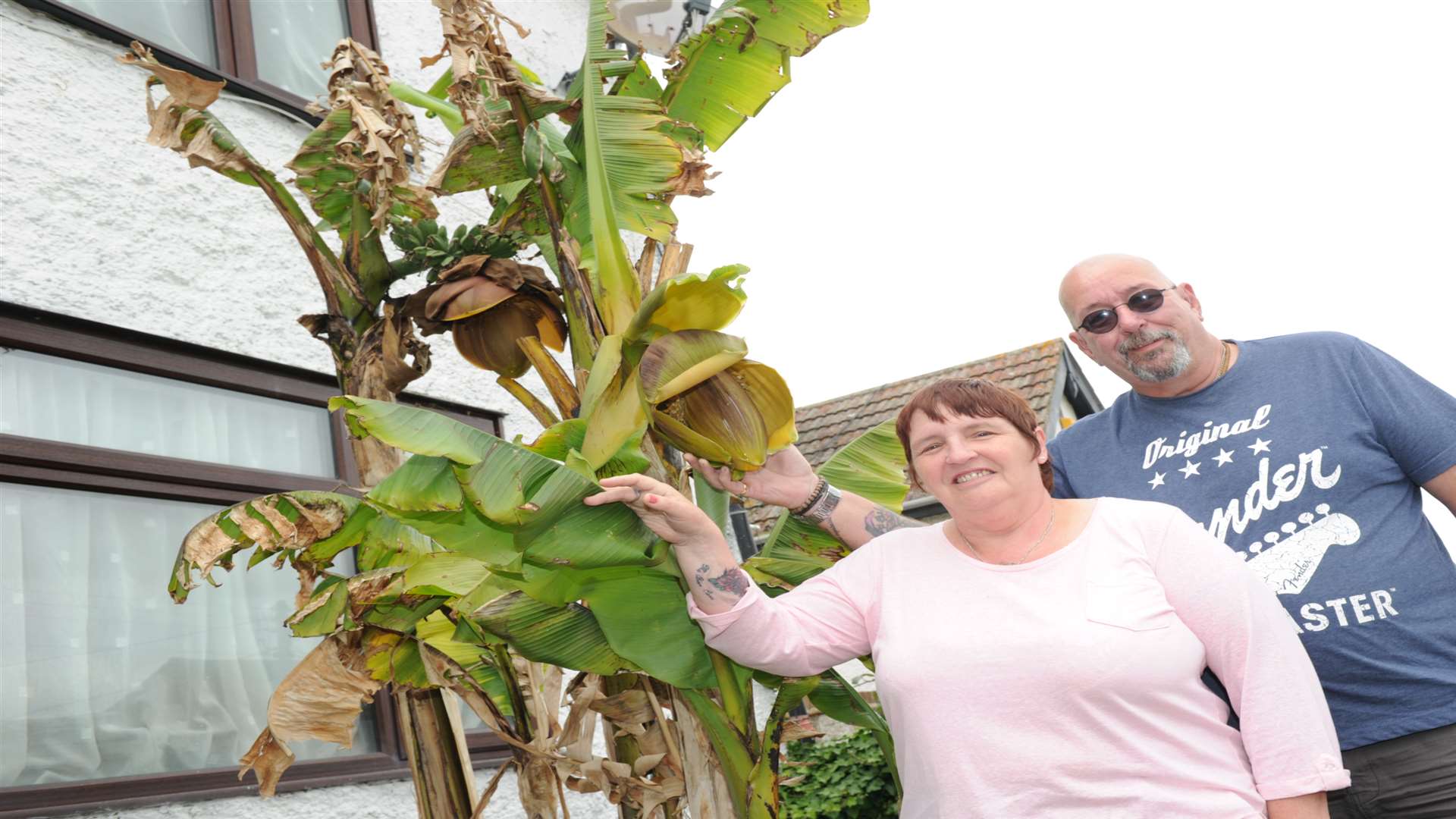 Sharon and Malcolm Beal say their banana tree has sprouted fruit