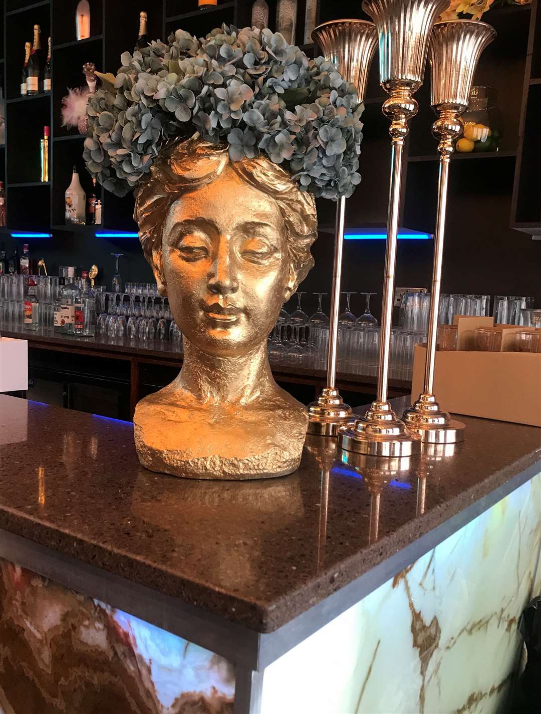 Meet Mavericka - who takes pride of place on the bar