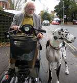 VICTIM: Tony Hickson with his dog Daisy
