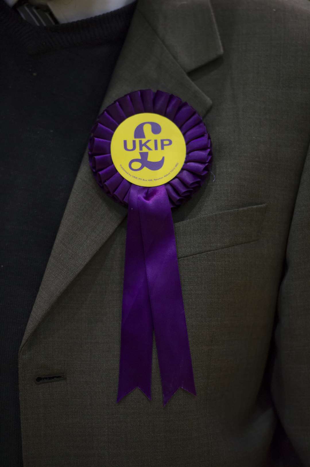 Ukip won four seats on Medway Council