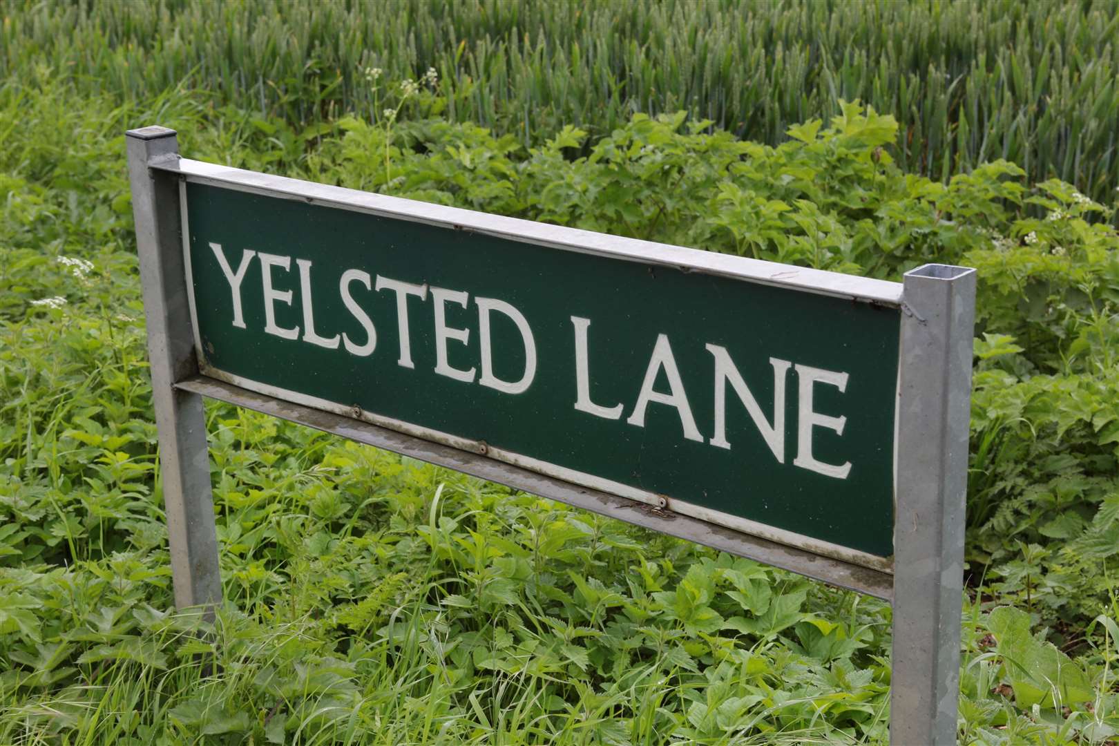 Yelsted Lane. Picture: Martin Apps
