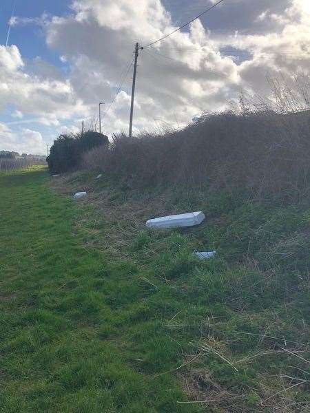 Rubbish was blown from a building site in Rainham into surrounding countryside. Image: Amy Stapleton
