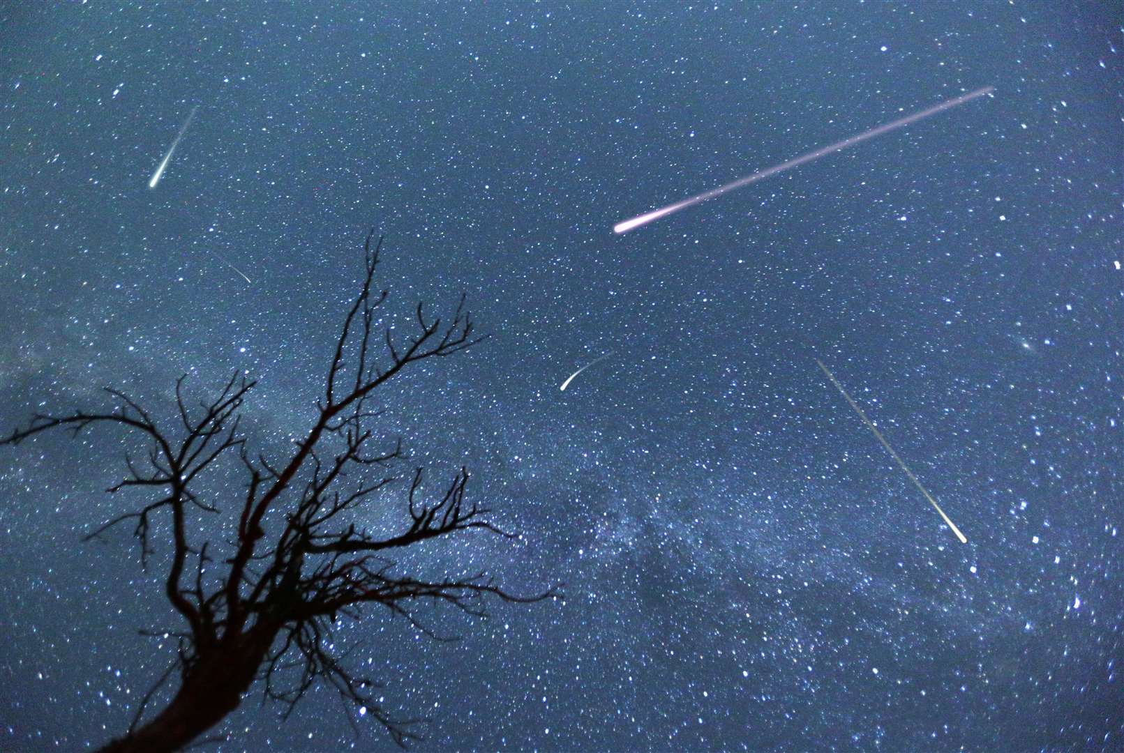 Astronomers think we could get an amazing display from the comet towards the end of the month