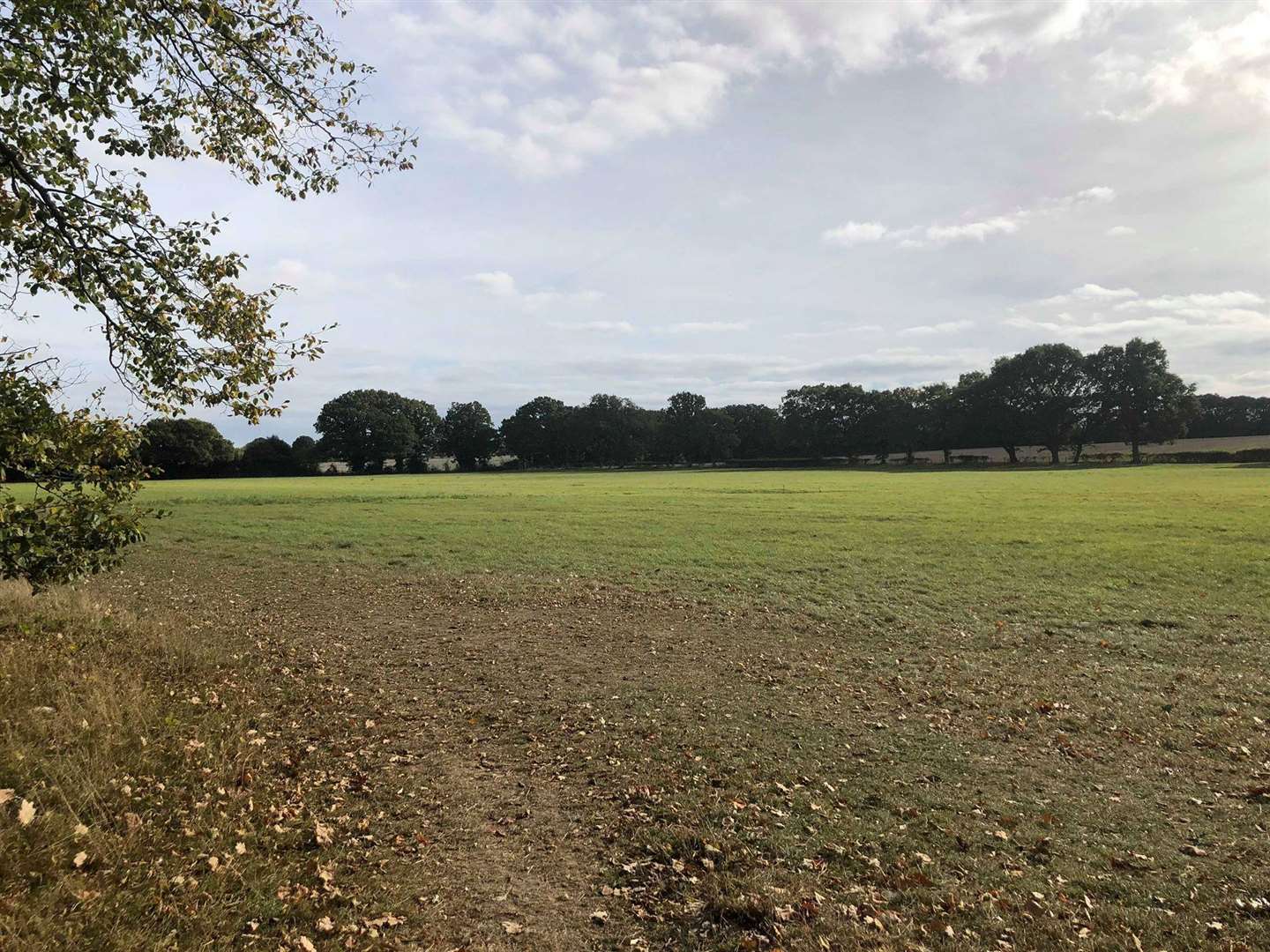 The proposed site