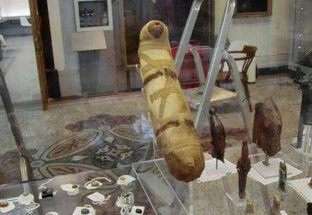 The Beaney's mummified cat in the Beaney's Explorers and Collectors gallery