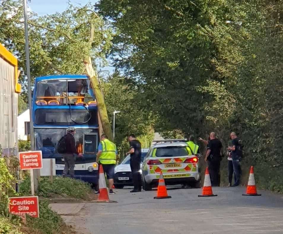 The number 11 crashed into a tree while travelling from Minster to Monkton. Photo: Gemma Duncalf