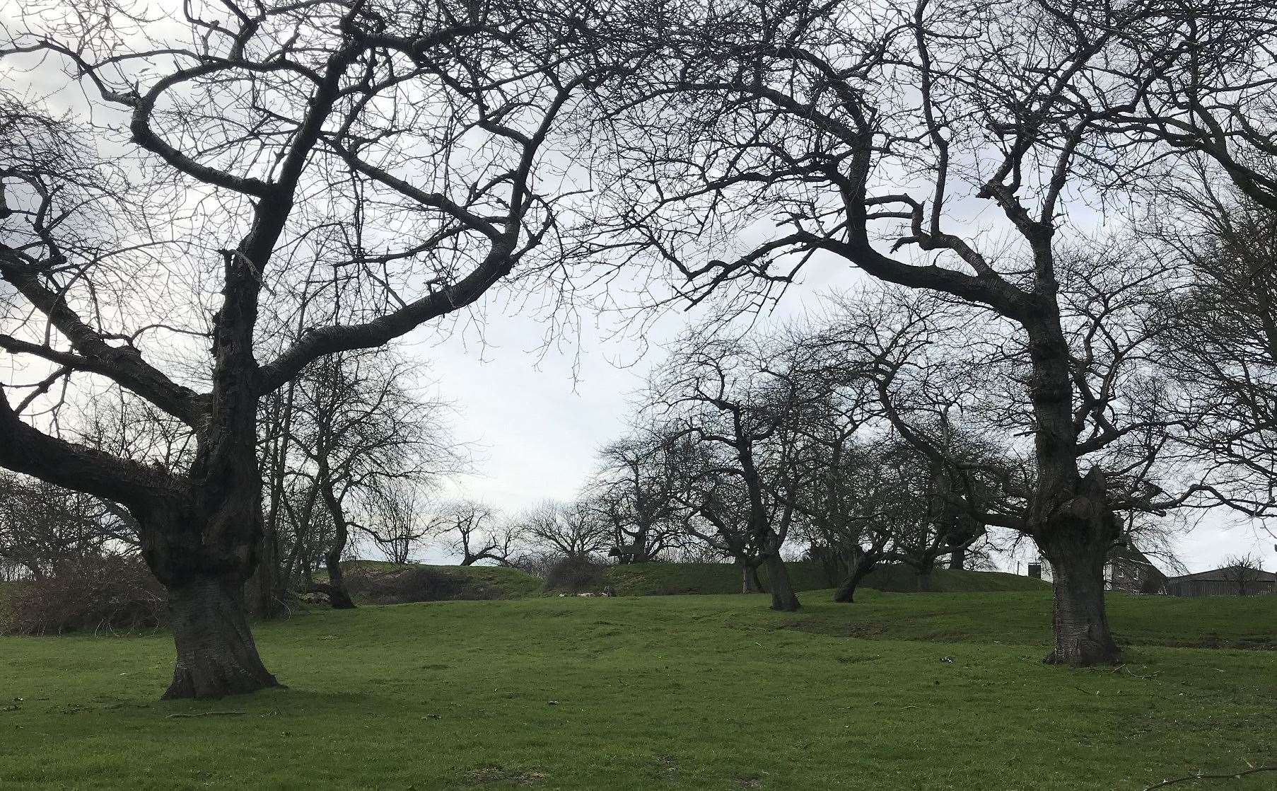 Grass mounds are all that is left of Stockbury Castle