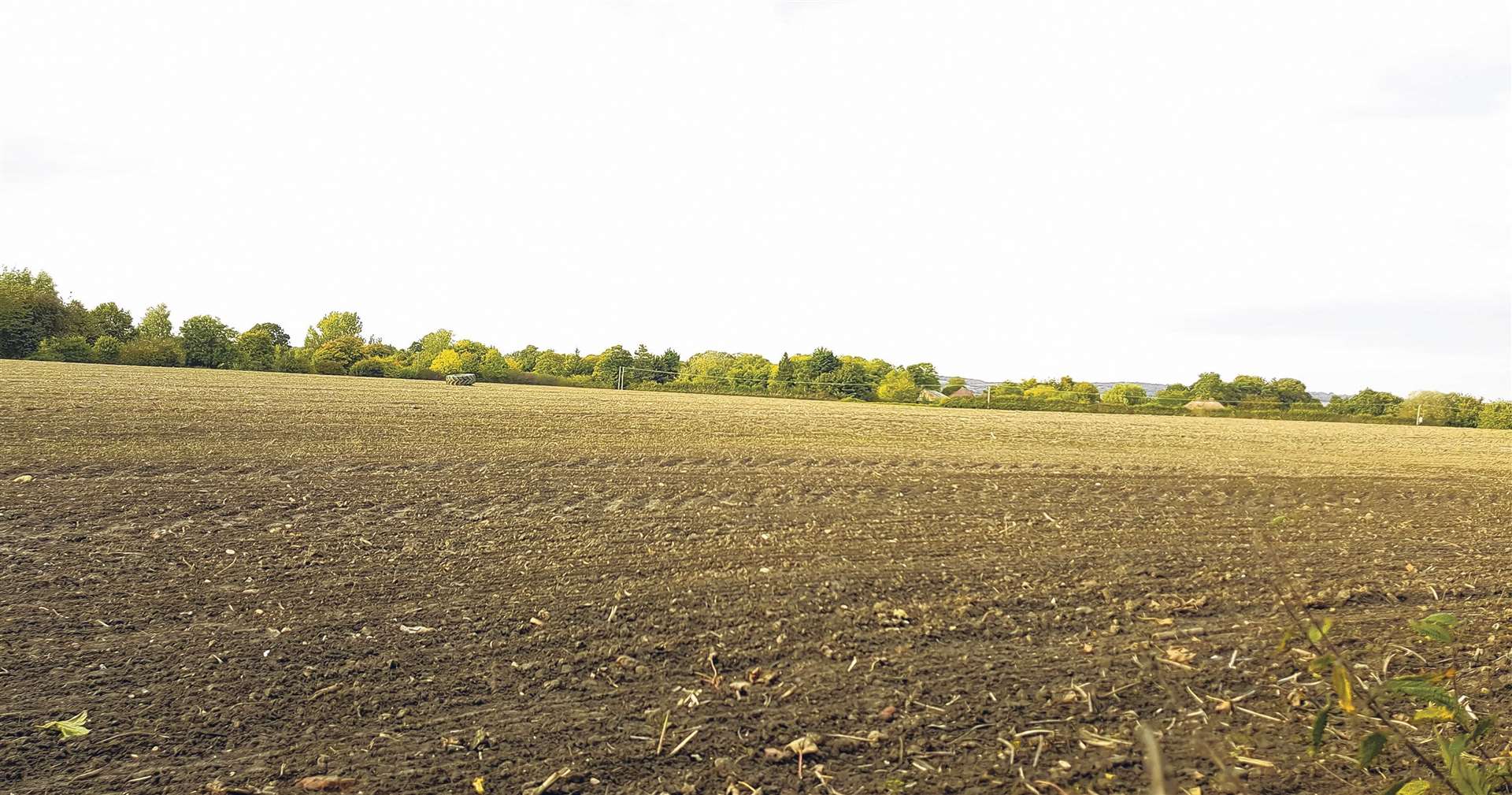 The land off East Mountain Lane which was earmarked for development