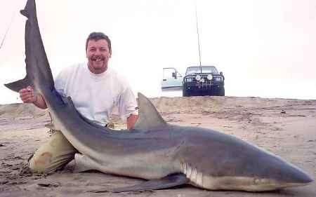 Ray Newing with the 286lb copper shark. Picture: ALAN JEFFREY