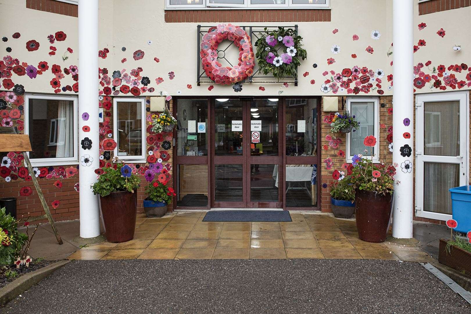 The poppy display at Park View Care Centre in Ashford