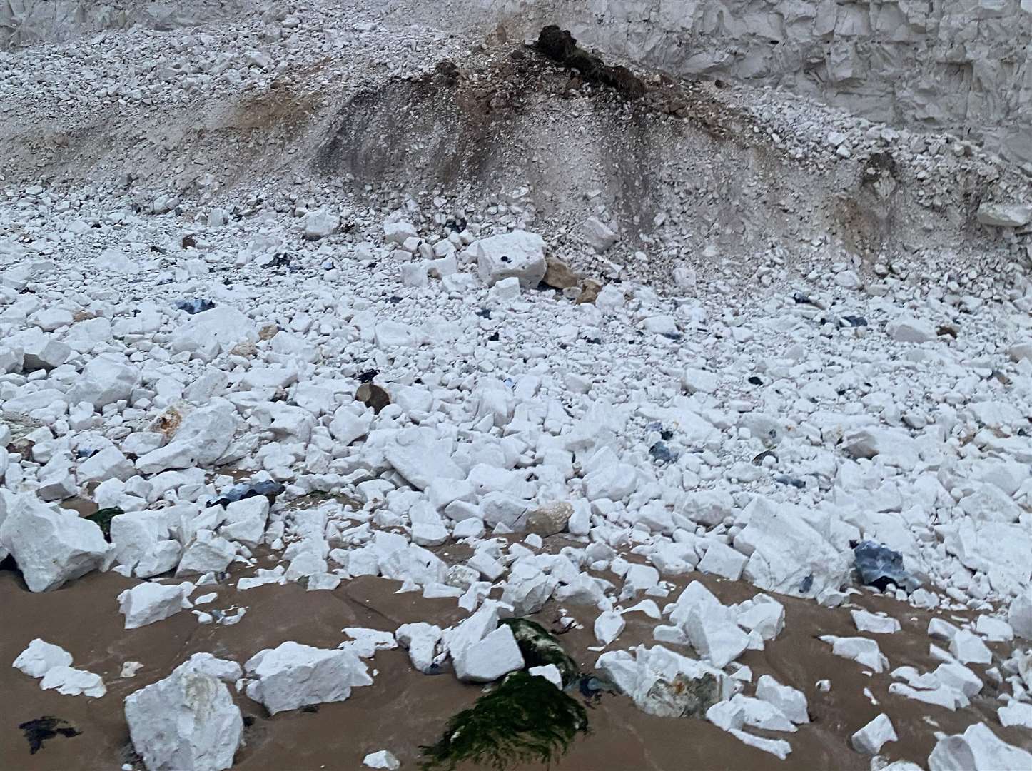 Mr Bailey says he and his wife often walk their dog a safe distance from the cliff edge as pieces of chalk often fall to the ground. Picture: Stephen Bailey