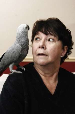 Elisabeth Wilkinson of Luton Road, Faversham, with her new parrot Zazu which replaced her beloved parrot Chalky who escaped last summer