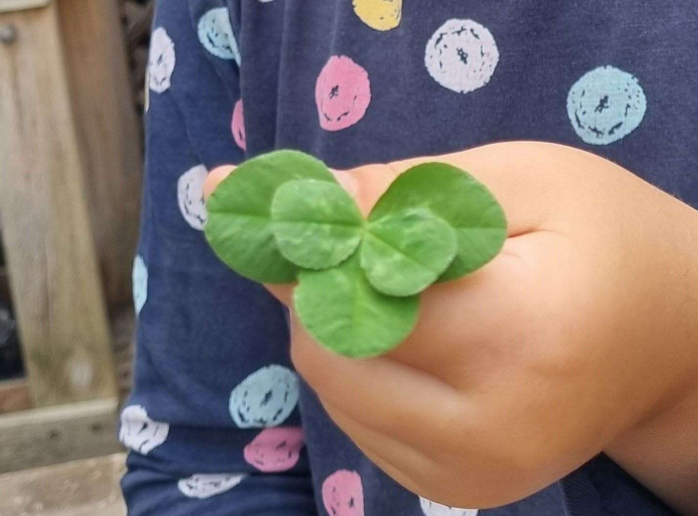 The five-leaf clover found by Rose in Tonbridge