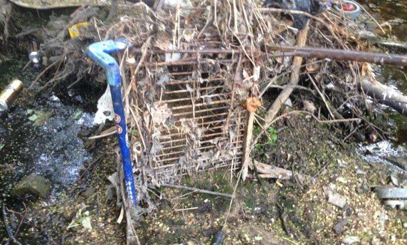 This Tesco shopping trolley was left in the Stour Brook in Haverhill for more than one year (4325136)