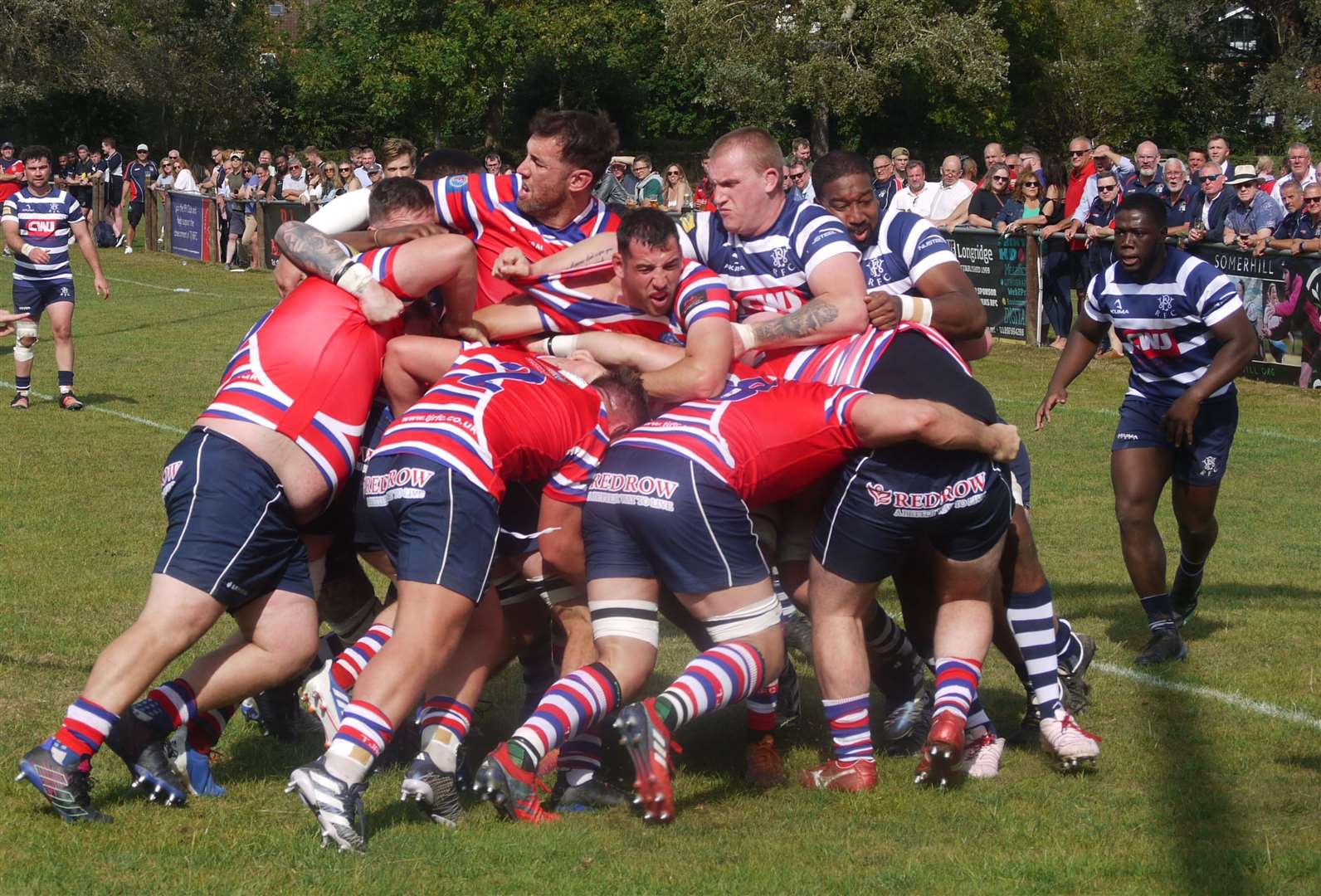 Will Holling is driven over by the Tonbridge Juddians pack against Westcombe Park. Picture: Adam Hookway