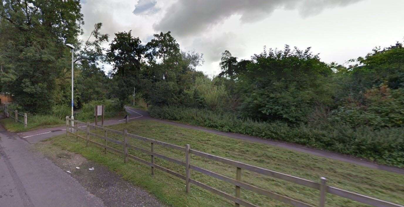 Two boys were assaulted near Singleton Lake in Ashford. Picture: Google