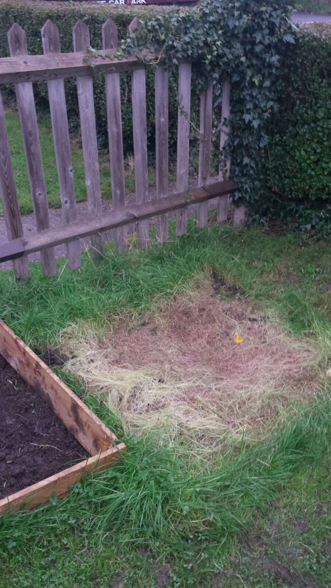 The empty plot where the wendy house stood.