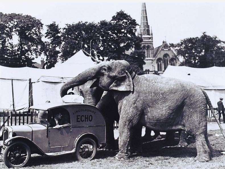 A rather troubling image of an original Lincolnshire Echo roll-top Austin van from the 1930s having trouble with the elephants at a Bertram Mills circus