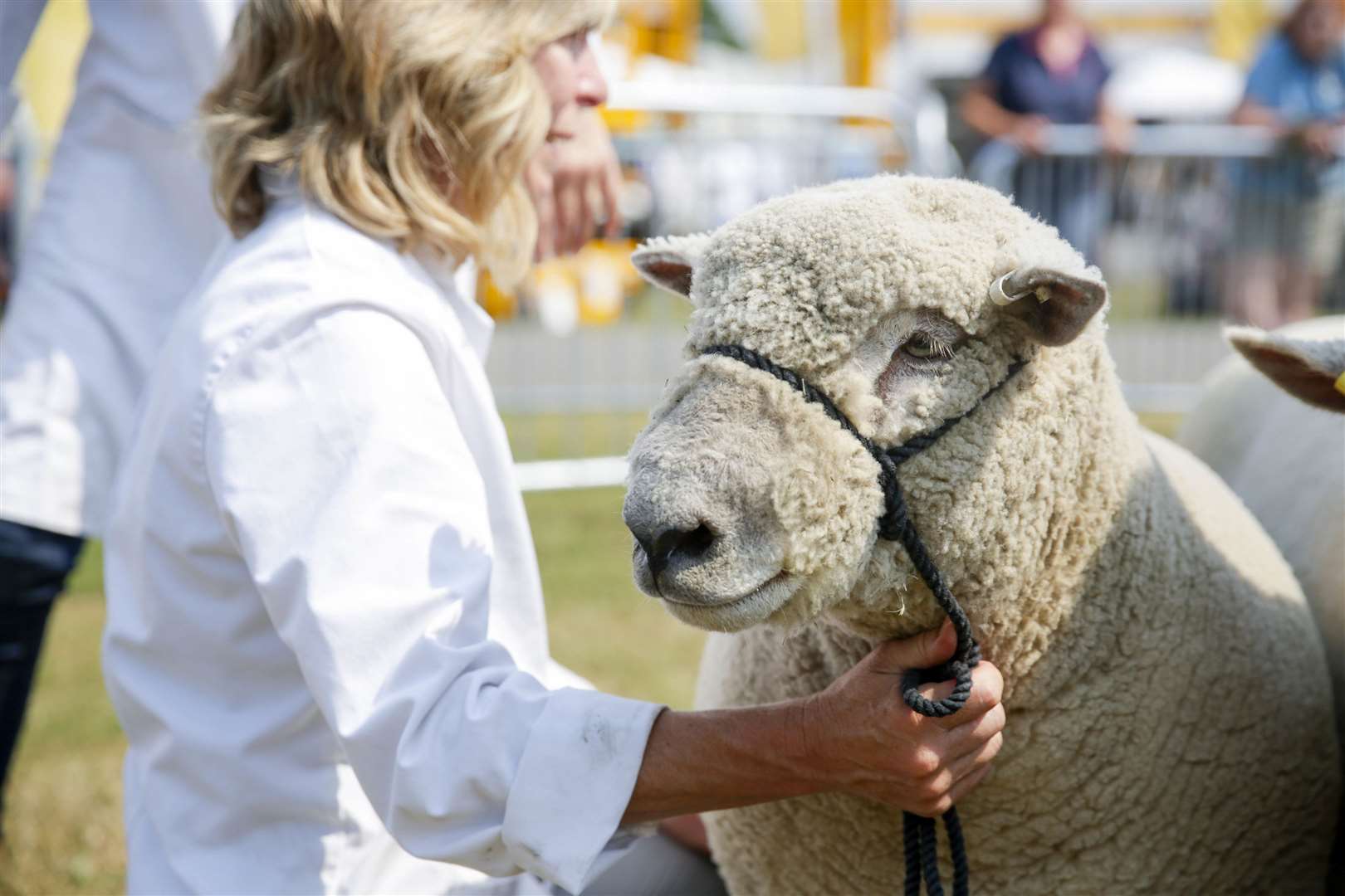 Kent County Show. Picture: Thomas Alexander